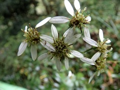 PB022783