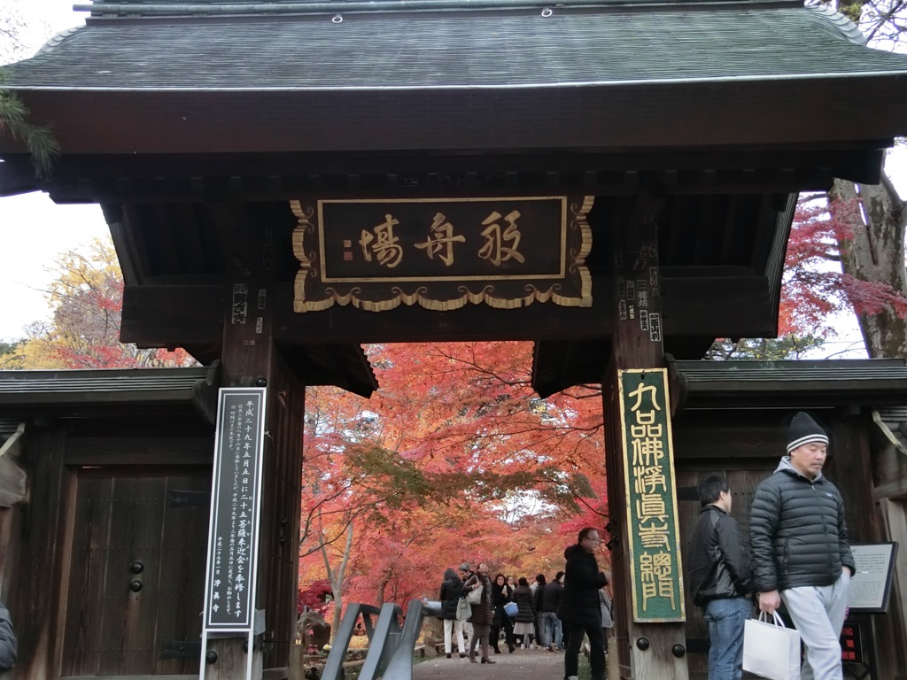 CIMG0287