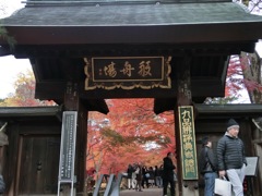 CIMG0287