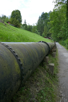 P1000456