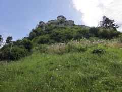 CIMG1388