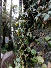 DSCF1212 (1)
