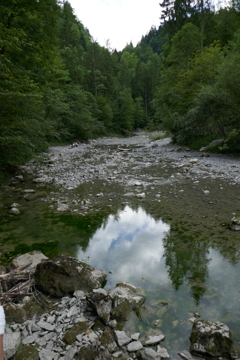P1000465