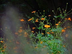 DSC00090