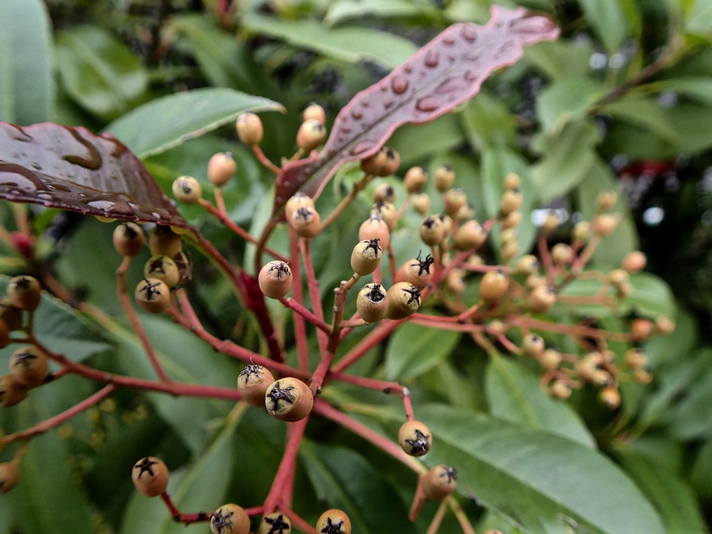 PB022807