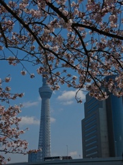 fullsizeoutput_83a1