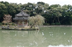 DSCF1671