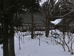 fullsizeoutput_8030
