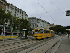 CIMG1486