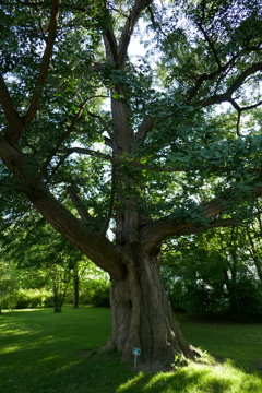 P1010204