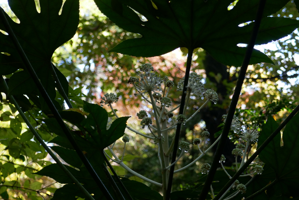 P1030305