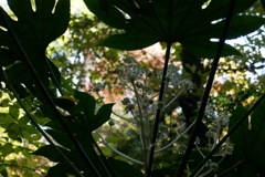 P1030305