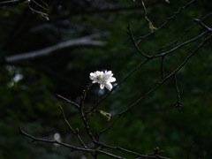 DSC00158