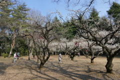 P1030772