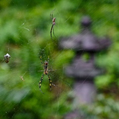 IMGP0109