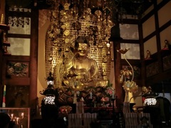 CIMG0237 (1)