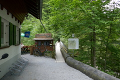 P1000459