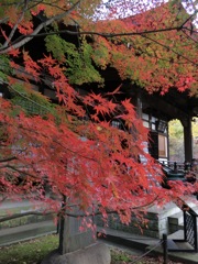 CIMG0227