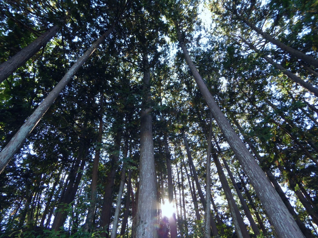 P1000758