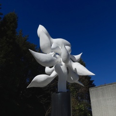 箱根