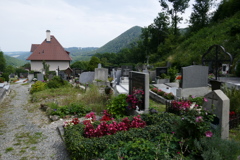 P1010054