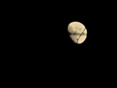 fullsizeoutput_7d52