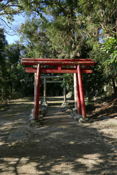P1030720