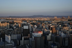 fullsizeoutput_9791