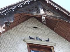 DSCN0543
