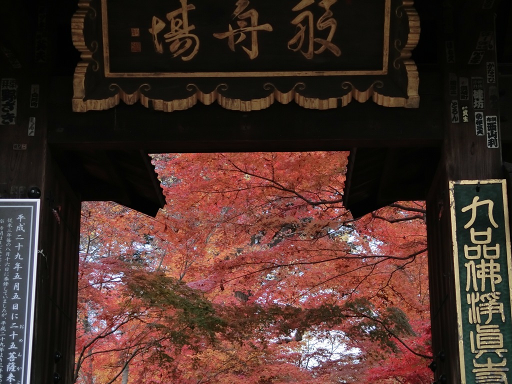 CIMG0286
