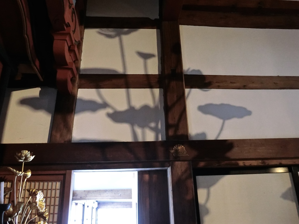 fullsizeoutput_801a