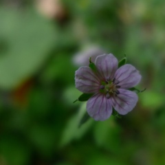P1000189