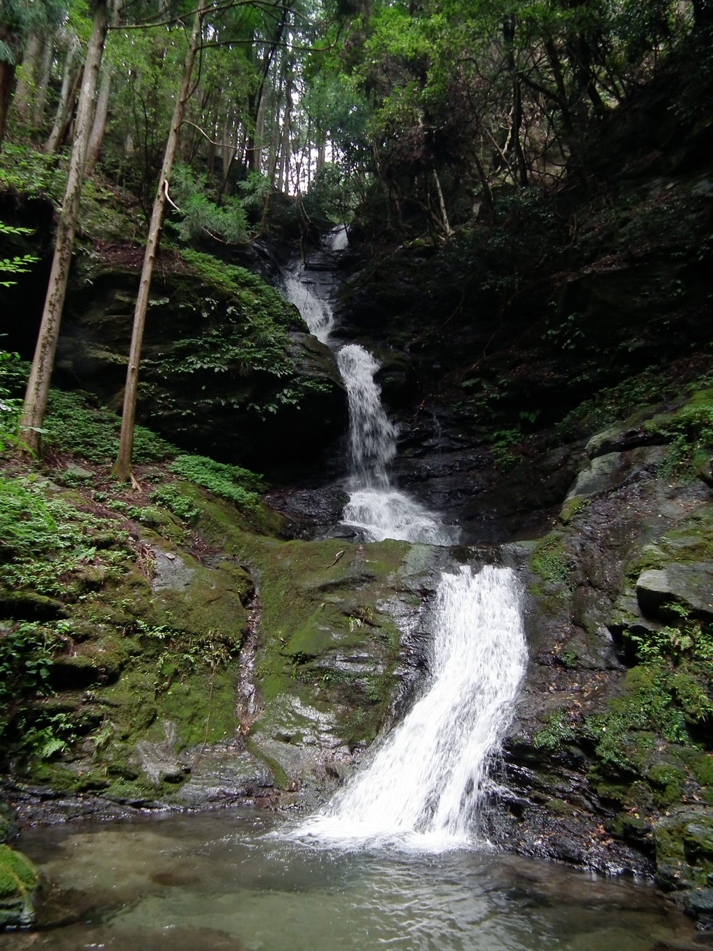 DSCF5672