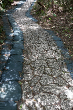 P1010938