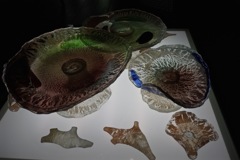 P1170188