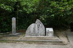 P1010934