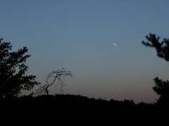 DSCF1371