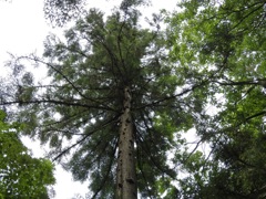 DSCN0143