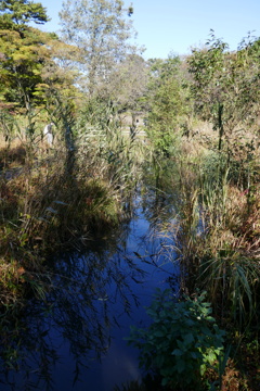 P1030296