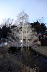 箱根