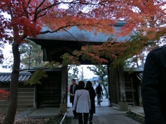 CIMG0279