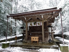 DSCF1529