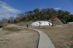 P1030655