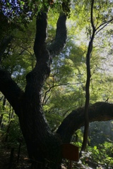 fullsizeoutput_9973