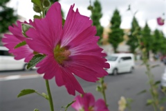 fullsizeoutput_8654