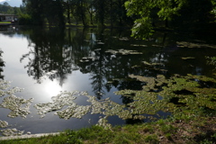 P1010134