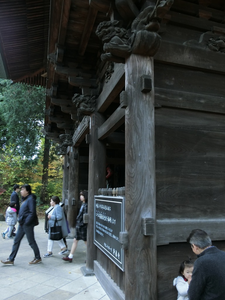 CIMG0255