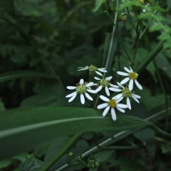 IMGP0139