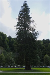 fullsizeoutput_89cc