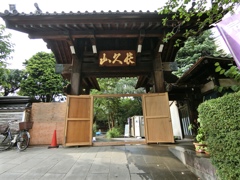 fullsizeoutput_87c3